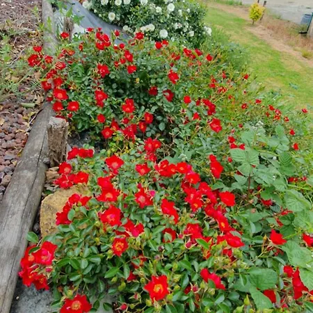 Prázdninový dům Le Du Besson Cassagne