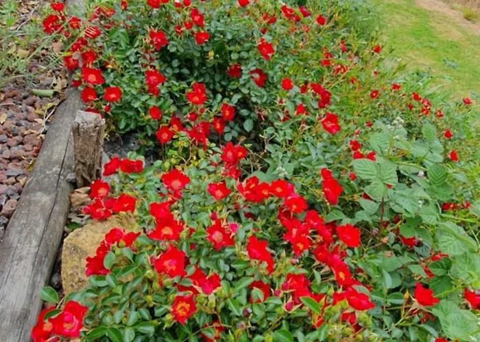 Hébergement de vacances Le Du Besson Cassagne